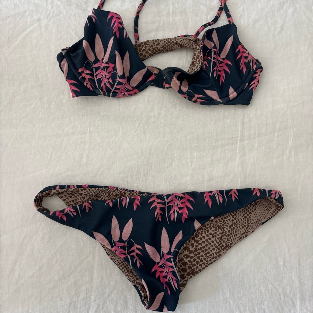 Acacia bikini